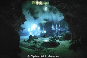 coming from dark by Cipriano (ripli) Gonzalez 